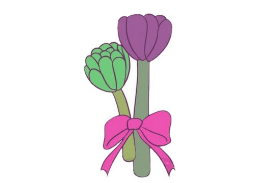 多肉植物简笔画图片