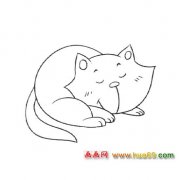 简笔画：睡觉的小猫2