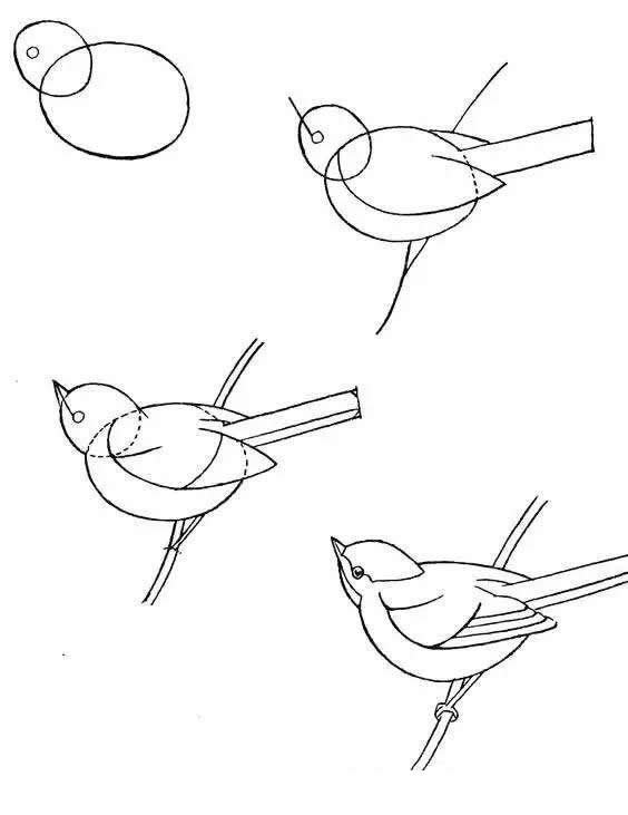 喜鹊简笔画