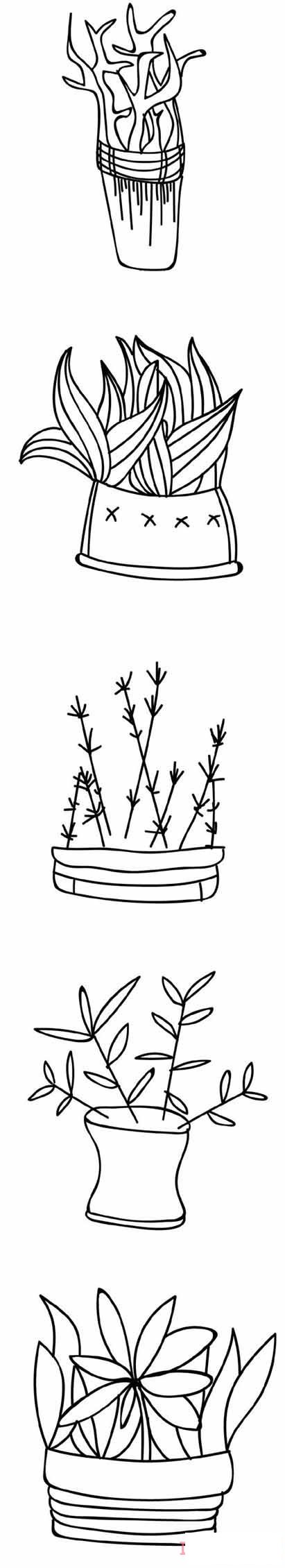 一组绿植盆栽怎么画简洁 盆栽简笔画图片