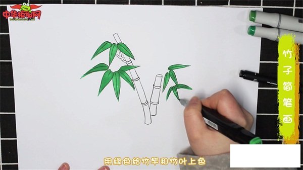 竹子怎么画