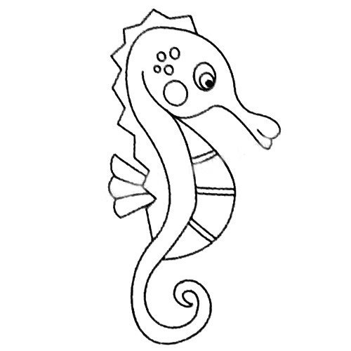 海马简笔画图片