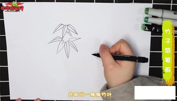 竹子怎么画