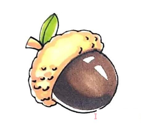 一步一步画橡果简笔画教程彩色可爱