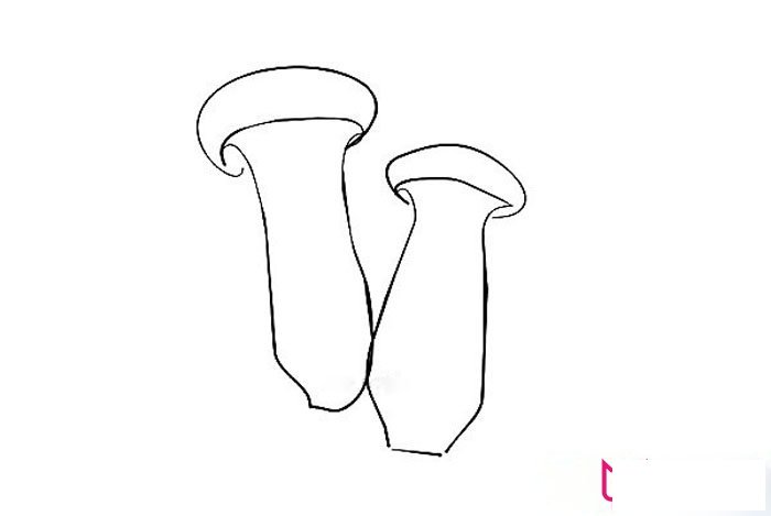 儿童果蔬简笔画，简单的杏鲍菇简笔画