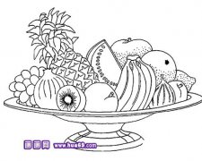 很多水果简笔画2