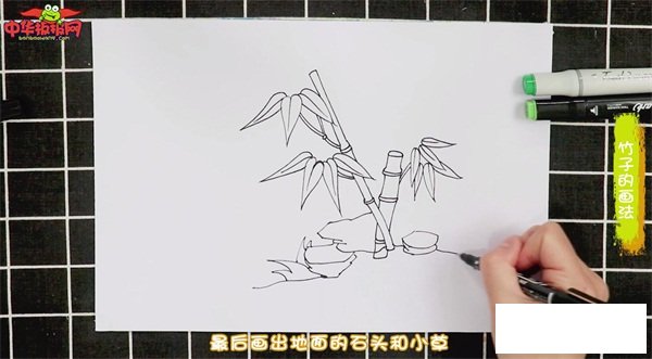 竹子的画法