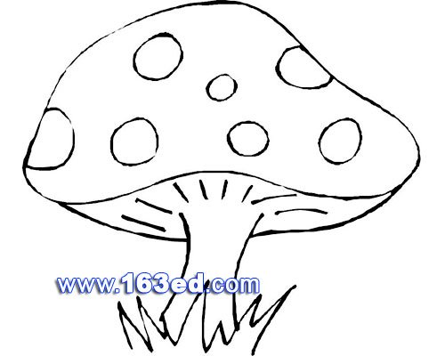 简笔画:可爱的蘑菇
