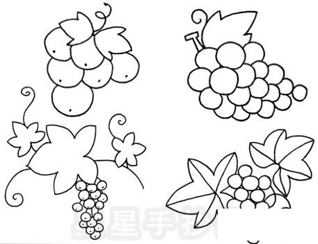 漂亮的葡萄简笔画