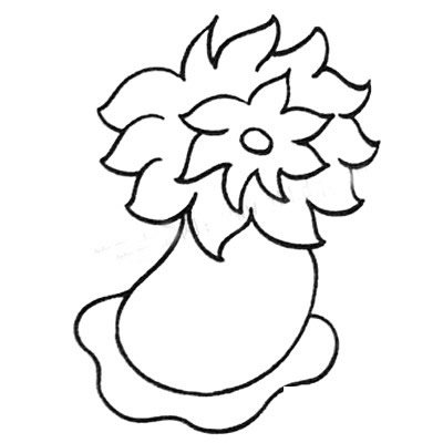 海葵简笔画