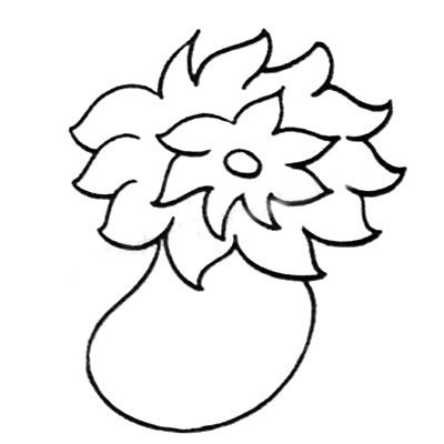 海葵简笔画