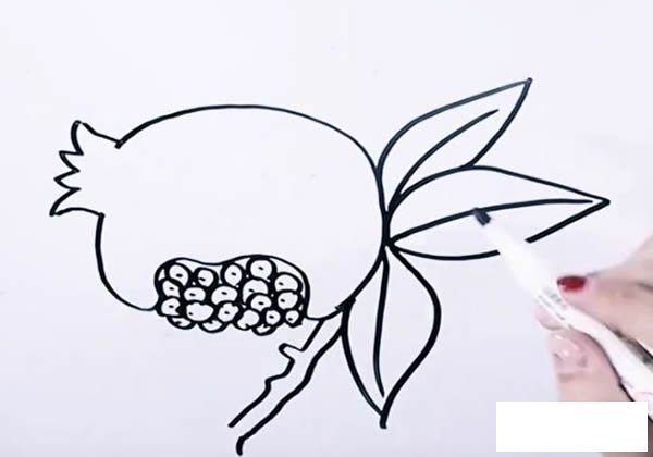 石榴简笔画图片