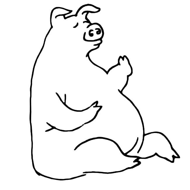 大肥猪简笔画图片
