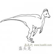 儿童简笔画恐龙：盔头龙儿童简笔画恐龙：盔头