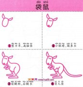 幼儿简笔画：四步画一只袋鼠的图解教程