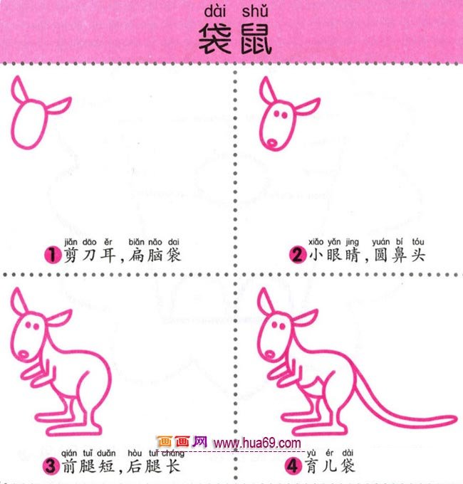 幼儿简笔画：四步画一只袋鼠的图解教程