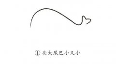 手把手教你鲸鱼的画法简笔画