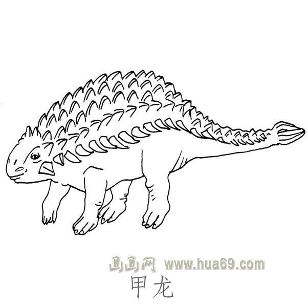 儿童简笔画恐龙：甲龙