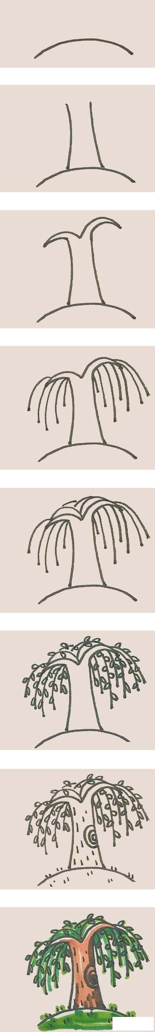 简单漂亮柳树简笔画画法教程彩色一步一步绘画