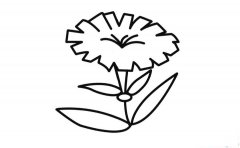 彩色蒲公英简笔画画法_怎么画彩色蒲公英的简笔