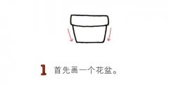彩色仙人掌简笔画图片