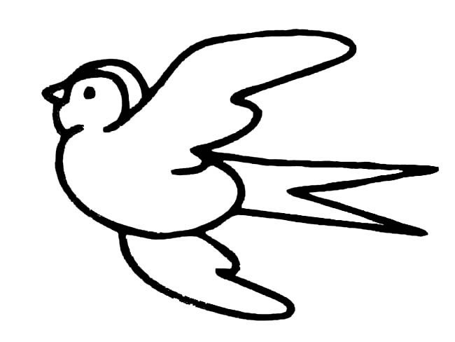小燕子动物简笔画步骤图片大全三
