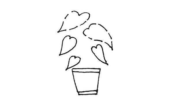 龟背竹盆栽简笔画