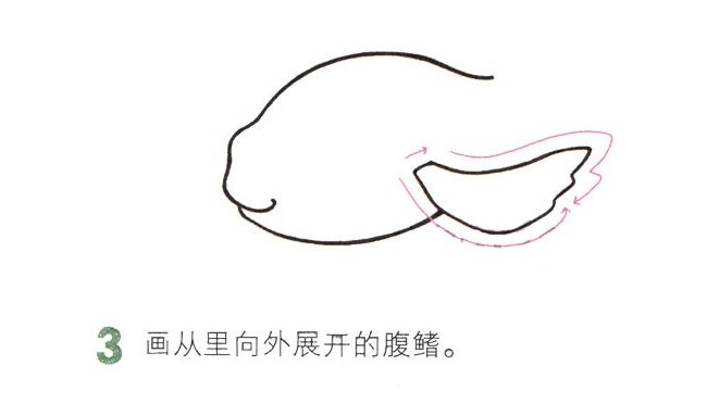 彩色金鱼简笔画图片