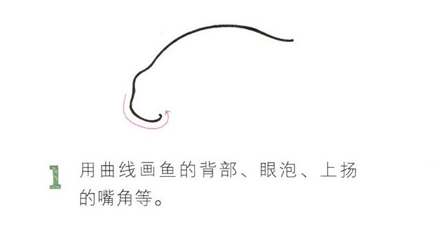 彩色金鱼简笔画图片