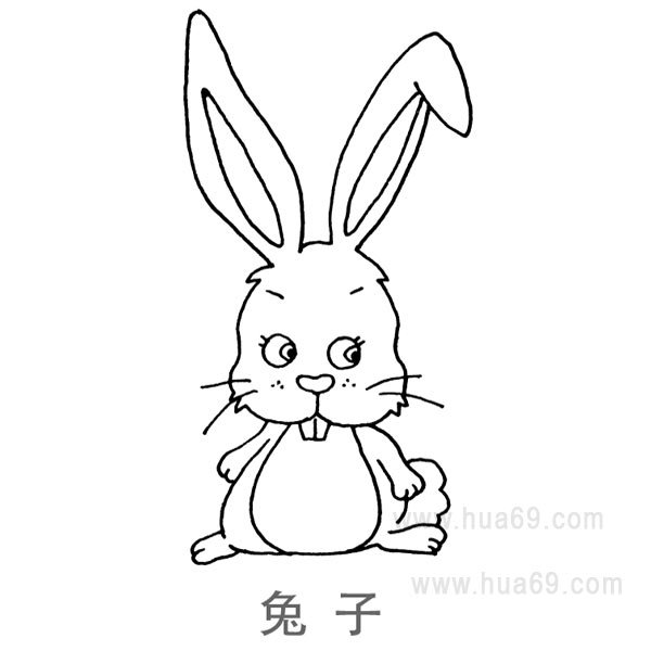 儿童简笔画：长牙兔子