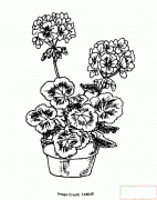 一盆盛开的花朵简笔画