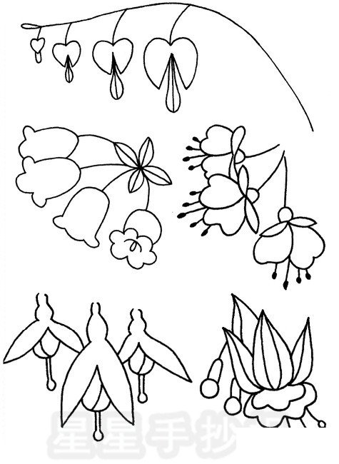 倒挂金钟简笔画