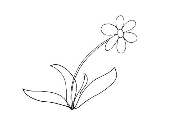 太阳花简笔画