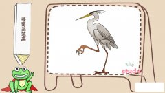 苍鹭简笔画