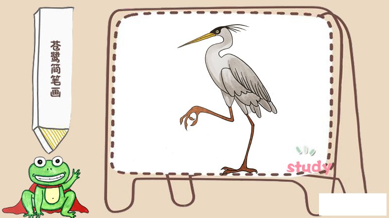苍鹭简笔画