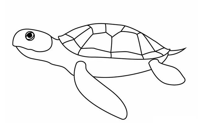 海龟简笔画