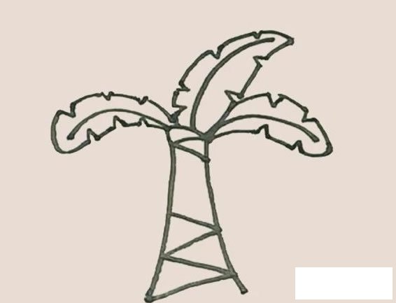 芭蕉树简笔画图片