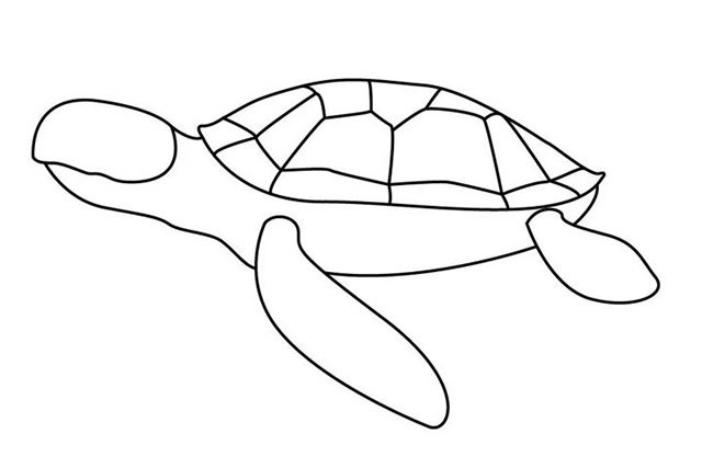 海龟简笔画