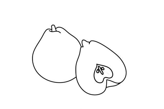 莱阳梨简笔画