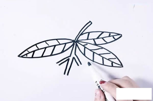 橘子简笔画图片