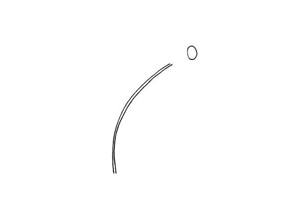太阳花简笔画