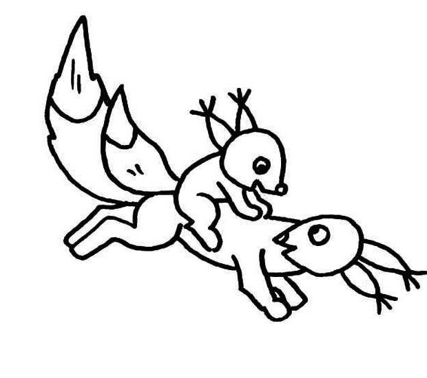 幼儿简笔画：两只快乐的小松鼠