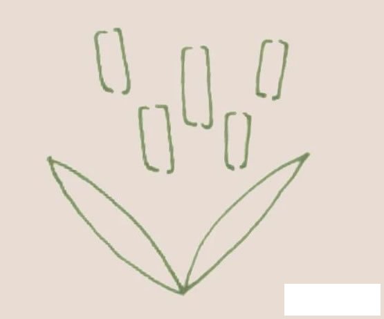 香蒲简笔画