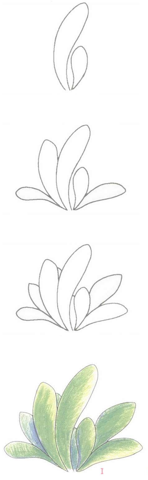 手绘一株小草简笔画画法步骤教程涂颜色