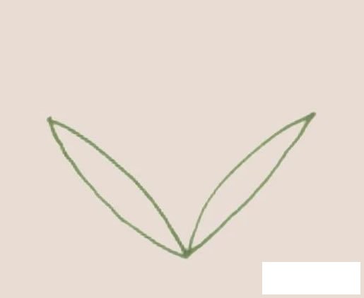 香蒲简笔画
