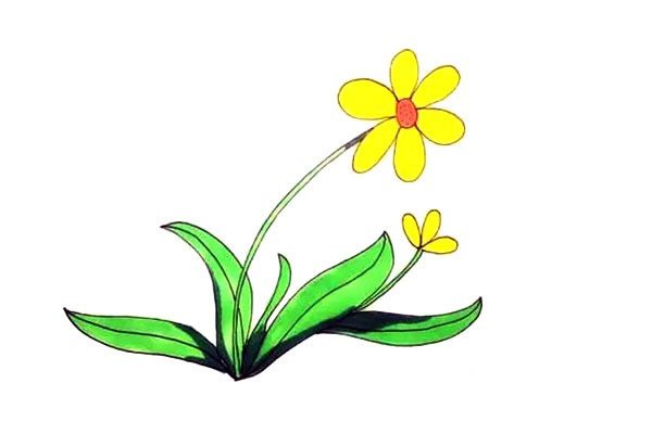 太阳花简笔画
