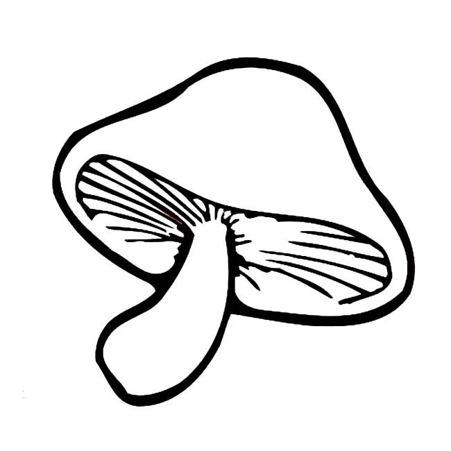 香菇物品简笔画步骤图片大全