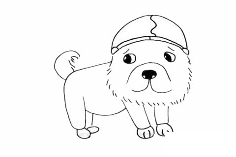松狮犬简笔画图片