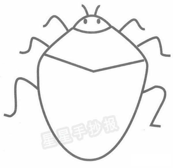 椿象简笔画