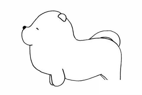 松狮犬简笔画图片